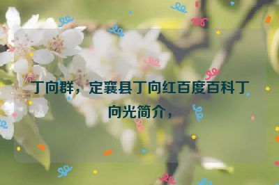 丁向群，定襄县丁向红百度百科丁向光简介，