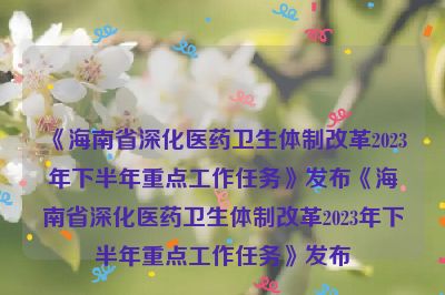 《海南省深化医药卫生体制改革2023年下半年重点工作任务》发布《海南省深化医药卫生体制改革2023年下半年重点工作任务》发布