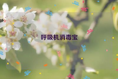 呼吸机消毒宝