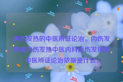 内伤发热的中医辨证论治，内伤发热病内伤发热中医内科内伤发热的中医辨证论治依据是什么，