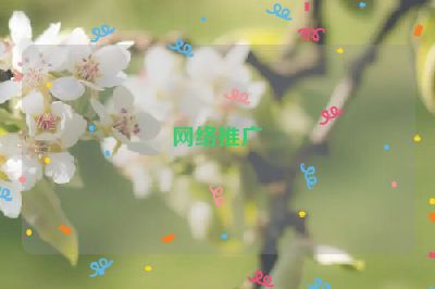 网络推广