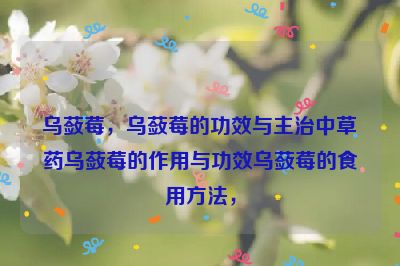 乌蔹莓，乌蔹莓的功效与主治中草药乌蔹莓的作用与功效乌蔹莓的食用方法，