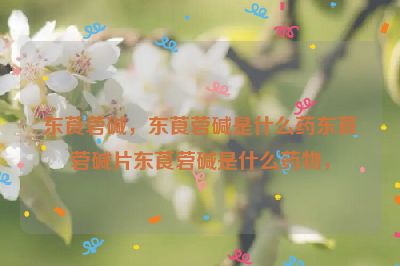 东莨菪碱，东莨菪碱是什么药东莨菪碱片东莨菪碱是什么药物，