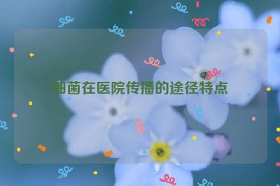 细菌在医院传播的途径特点