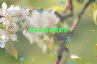 呼吸机消毒宝原理